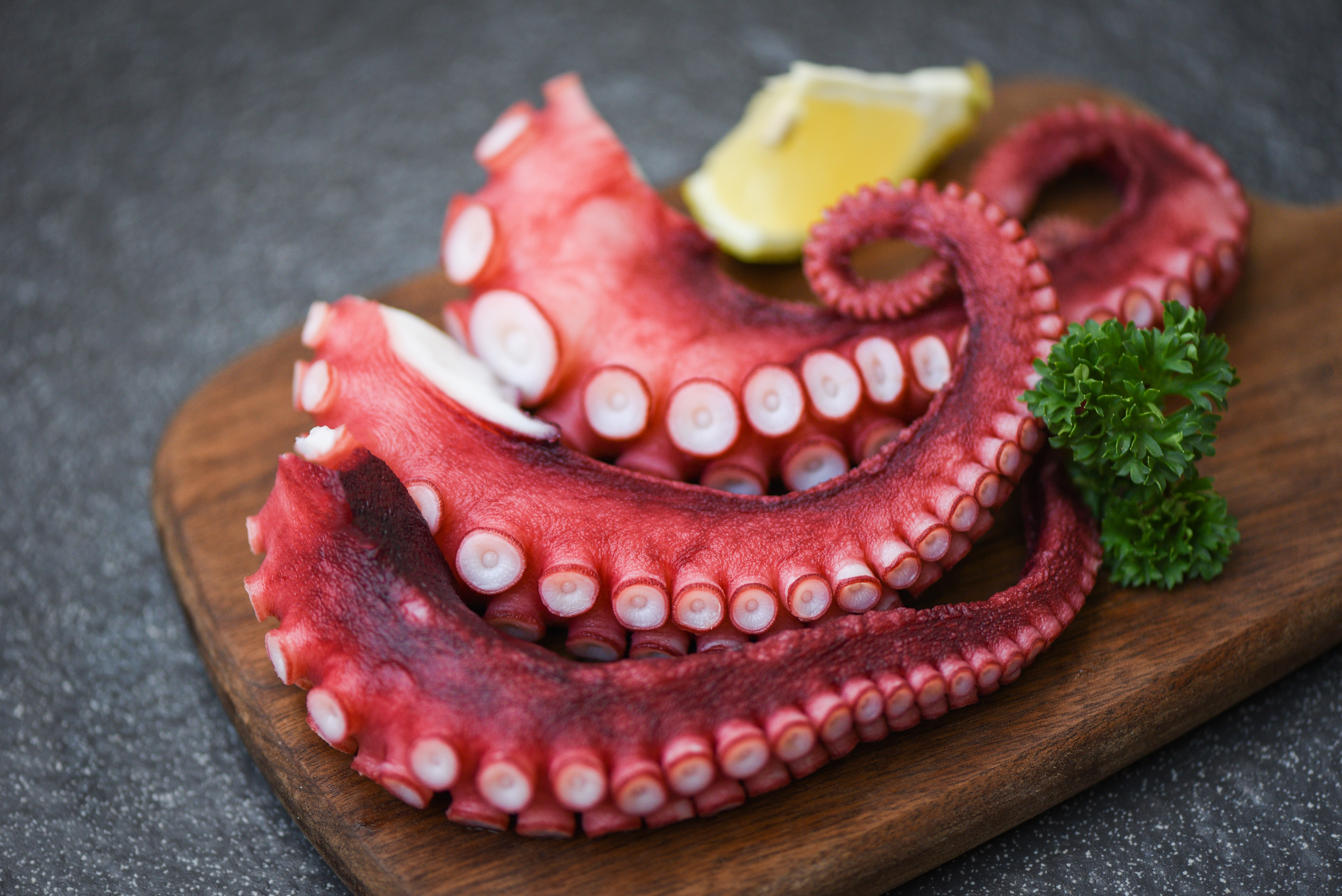 Pulpo cocido tierno y sabroso, perfecto para platos tradicionales y gourmet.